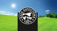 100% RAZA AUTÓCTONA
