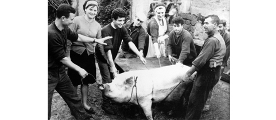 Fotografía histórica familiar de una matanza tradicional
