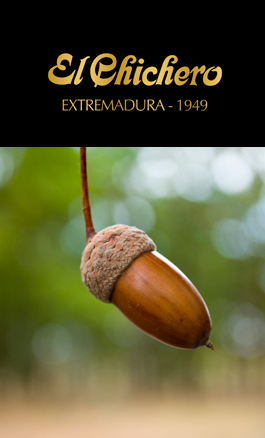 Alimentación