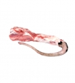 RABO IBÉRICO 